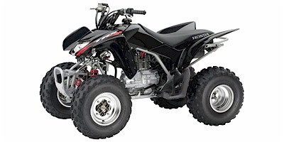 2007 Honda TRX™ 250EX Standard Equipment, Prices & Specs ...